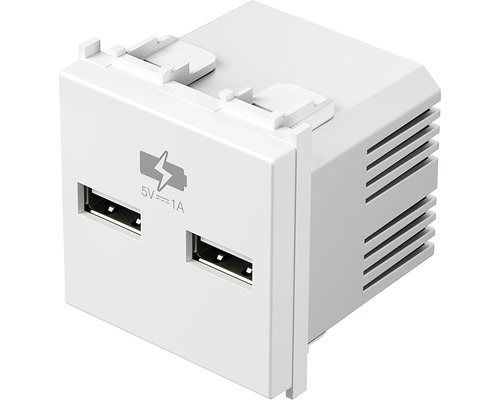 Priză USB dublă TEM max. 1000 mAh, 2 module, albă