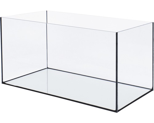 Acvariu gol din sticlă