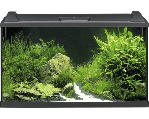 Acvariu EHEIM aquapro 126 cu iluminare LED, filtru, încălzitor, minciog, fără dulap inferior inclus