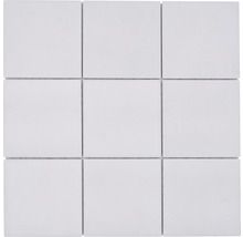 Mozaic piscină ceramic RAT 200 alb 30x30 cm-thumb-0
