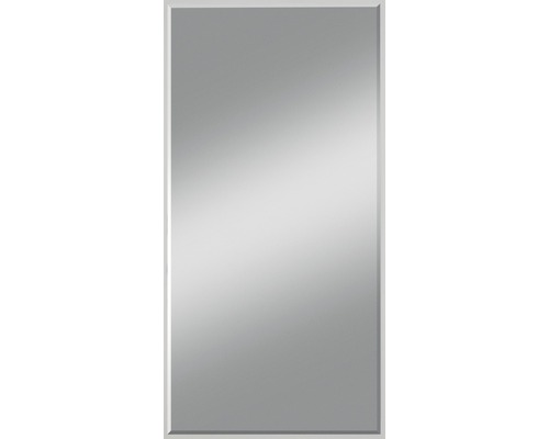 Oglindă baie fațetată Kristall Form Gennil 50x110 cm