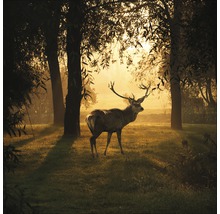 Tablou sticlă Deer & Sun 30x30 cm