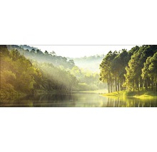 Peisaj cu lac, pădure și ceață matinală