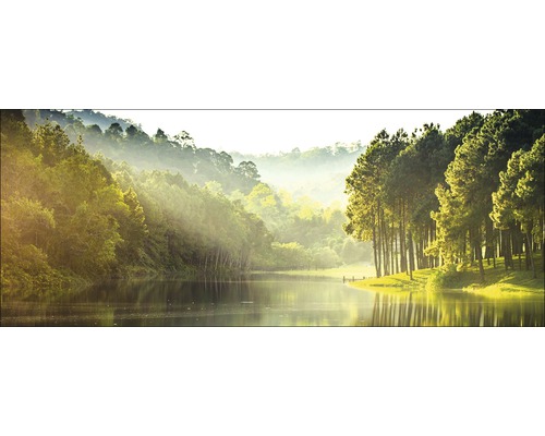 Tablou sticlă Forest Atmosphere I 50x125 cm
