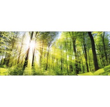 Tablou sticlă Towards The Sun 30x80 cm