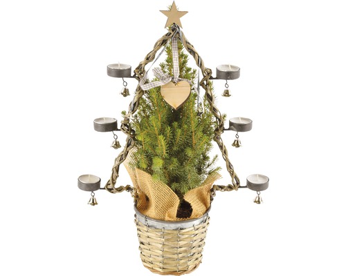 Brad decorativ de Crăciun cu suporturi pentru lumânări tip pastilă într-un coș de răchită