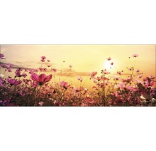 Tablou sticlă Flowerfield III 30x80 cm