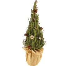 Brad împodobit de Crăciun în sac de iută