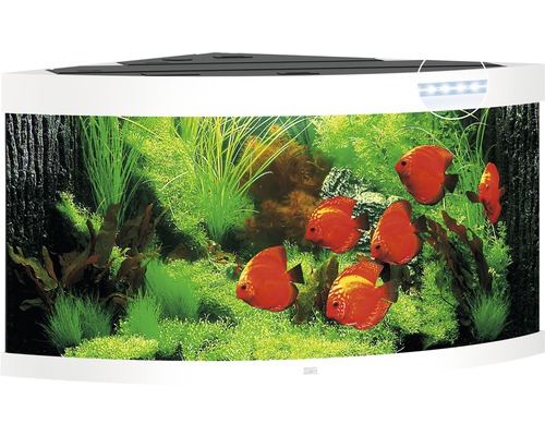Acvariu Juwel Trigon 350, cu led, filtru, încălzitor, fără dulap inferior, alb Acvariu de colț cu pești și plante