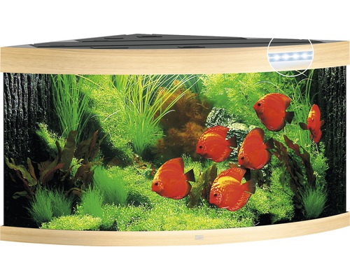 Acvariu de colț cu plante și pești