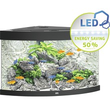 Acvariu JUWEL Trigon 190 cu iluminare cu LED, filtru, încălzitor, fără dulap inferior, negru