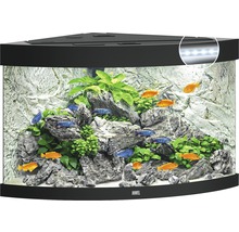 Acvariu JUWEL Trigon 190 cu iluminare cu LED, filtru, încălzitor, fără dulap inferior, negru