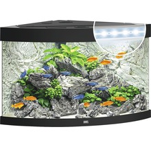 Acvariu JUWEL Trigon 190 cu iluminare cu LED, filtru, încălzitor, fără dulap inferior, negru