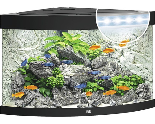 Acvariu de colț cu pești, plante, pietre și iluminare