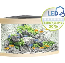 Acvariu de colț cu pești, plante, pietre și iluminare cu LED