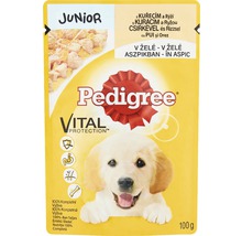 Pedigree Junior hrană pentru câini cu pui și orez, 100 grame