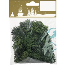 Sac cu mușchi islandez