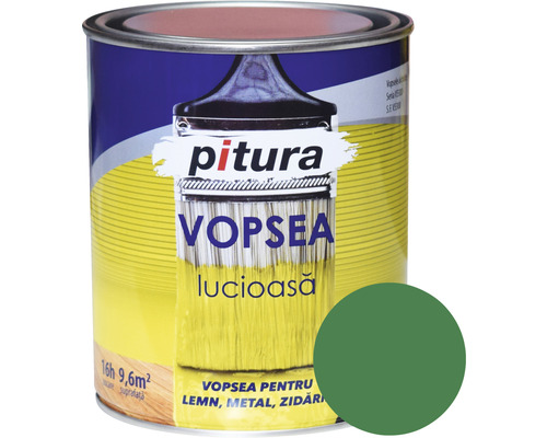 Vopsea universală Pitura verde luminos 0,6 l Cutie cu vopsea lac pe bază de solvent pentru lemn, metal și zidărie