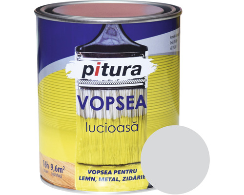 Vopsea universală Pitura gri deschis 0,6 l Vopsea pentru lemn, metal și zidărie în cutie