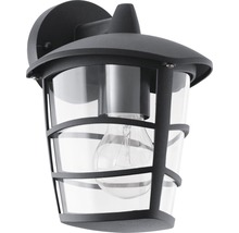 Lampa de perete exterioară neagră cu sticlă transparentă și o cușcă decorativă.