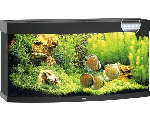 Acvariu decorat cu pești, plante și pietre