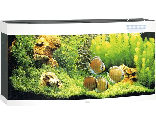 Acvariu complet echipat cu pești, plante și iluminare