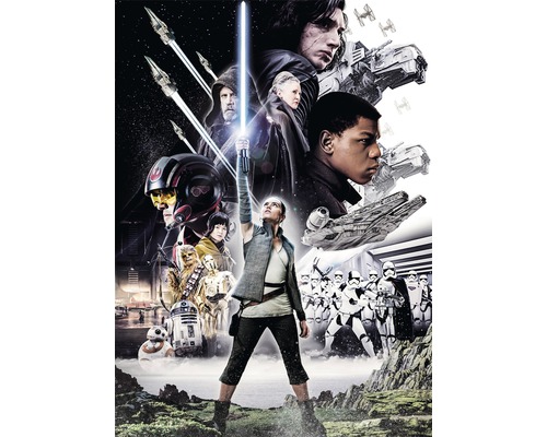 Fototapet hârtie 4-496 Disney Edition 4 Star Wars Balance 184x254 cm