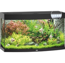 Acvariu Juwel Vision 180, led negru