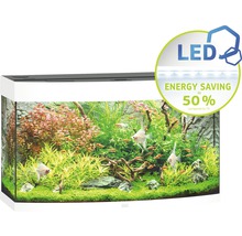 Acvariu Juwel Vision 180, led alb