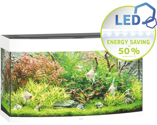 Acvariu cu pești și plante acvatice