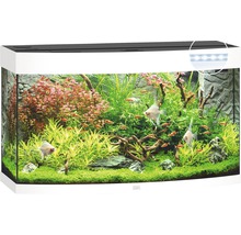 Acvariu Juwel Vision 180, led alb