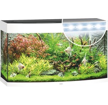 Acvariu Juwel Vision 180, led alb