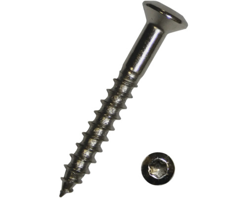 Șuruburi pentru lemn cu cap semibombat Torx Dresselhaus 4x40 mm DIN95 oțel nichelat, 200 bucăți