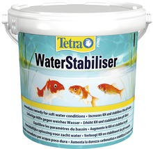 Tetra Pond WaterStabiliser pentru stabilizarea apei din iaz într-o găleată