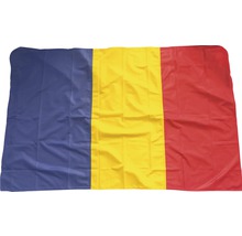 Steag cu dungi verticale