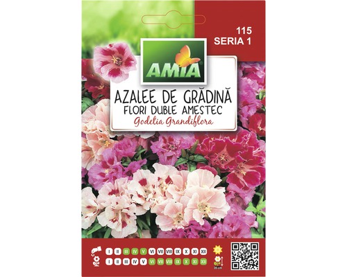 Semințe flori Amia azalee de grădină duble amestec