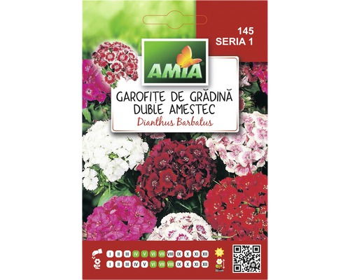 Semințe flori Amia garofiţe de grădină duble amestec-0