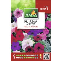 Semințe flori Amia petunia amestec-thumb-0
