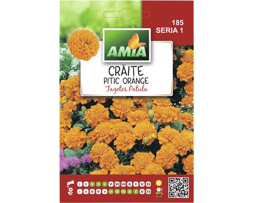 Semințe flori Amia crăite portocalii-0