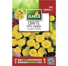 Semințe flori Amia crăite galbene-thumb-0