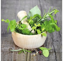 Tablou sticlă Green Basil In Bowl I 20x20 cm