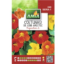 Semințe flori Amia coltunaşi hibrizi amestec-thumb-0