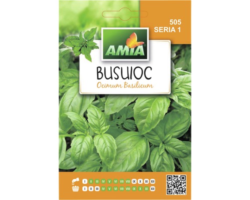 Semințe de busuioc verde Amia Semințe de busuioc verde Amia