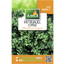 Semințe de pătrunjel comun Amia-thumb-0