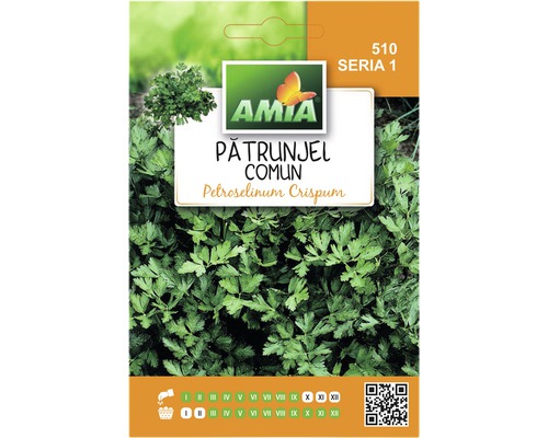 Semințe de pătrunjel comun Amia-0