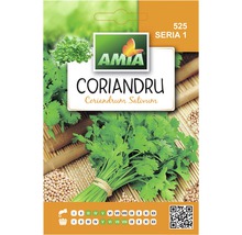 Semințe de coriandru Amia-thumb-0