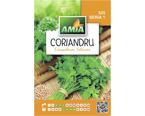 Semințe de coriandru Amia