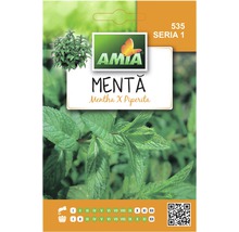 Semințe de mentă Amia-thumb-0