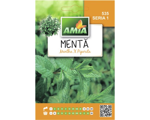 Semințe de mentă Amia-0