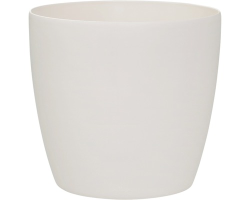 Ghiveci alb